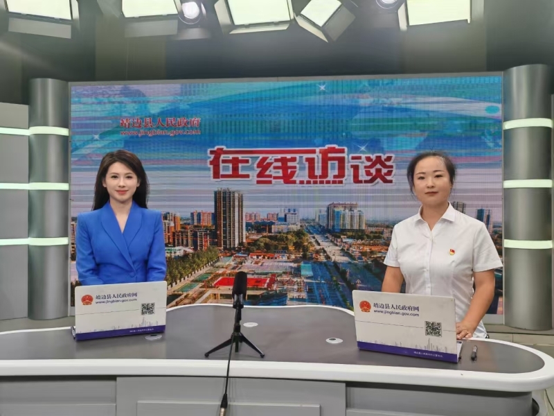 2025年王渠则镇在线访谈