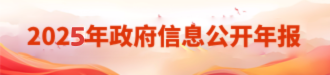 政府信息公开年报2025